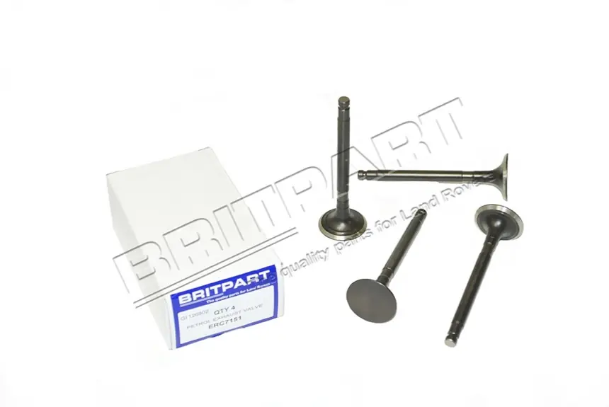PETROL EXHAUST VALVE Super-Preis