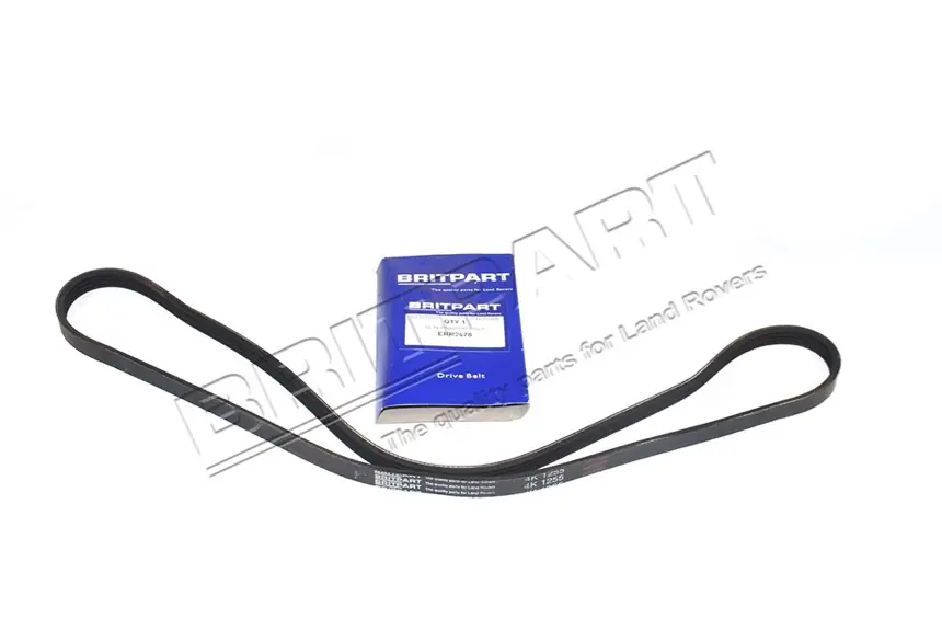 Beliebt ALTERNATOR BELT