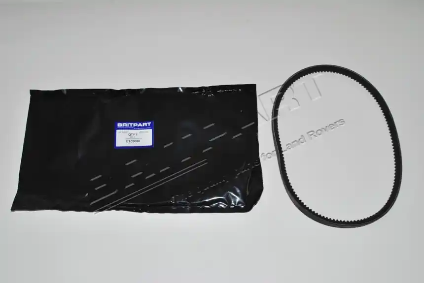 Sale BELT