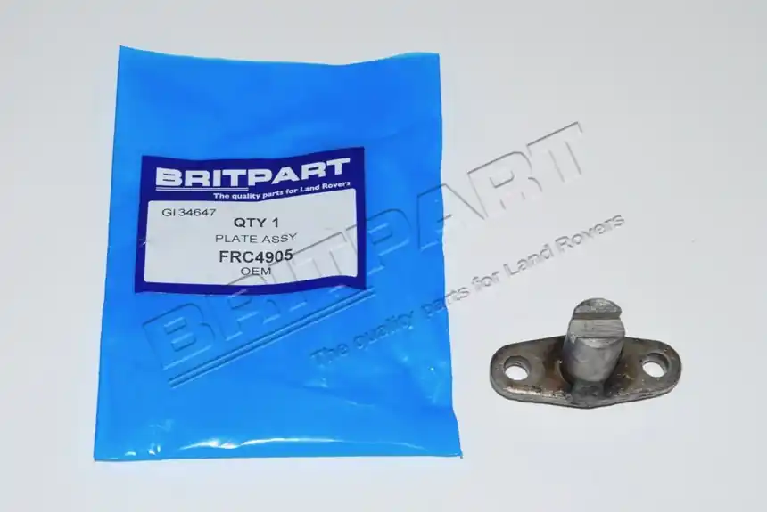 PLATE ASSY Expressversand