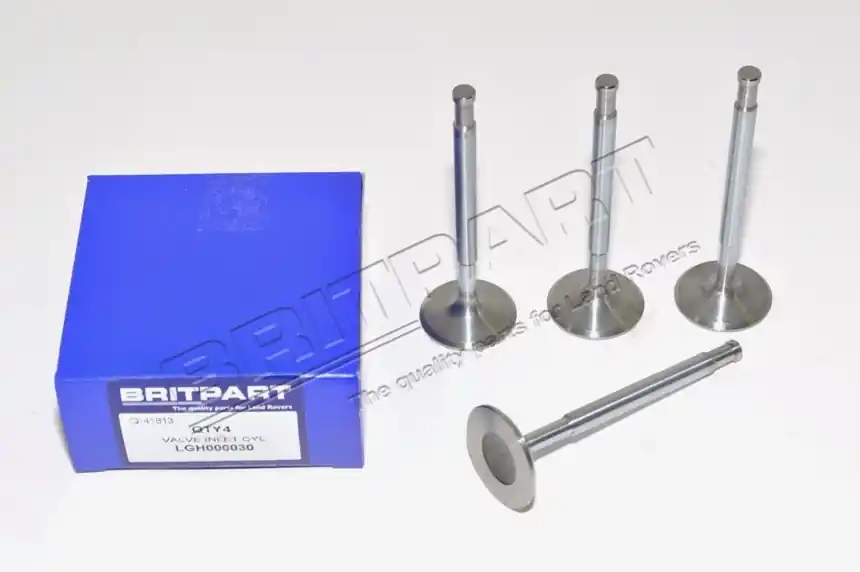 Nur Für Kurze Zeit VALVE INLET CYL