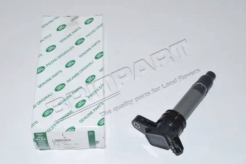 Echt COIL ASSY - IGNITION