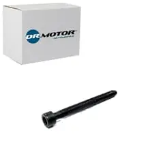Bestpreis DR.MOTOR AUTOMOTIVE SCHRAUBE, EINSPRITZDÜSENHALTER für AUDI A2 A3 A4 A6 FORD
