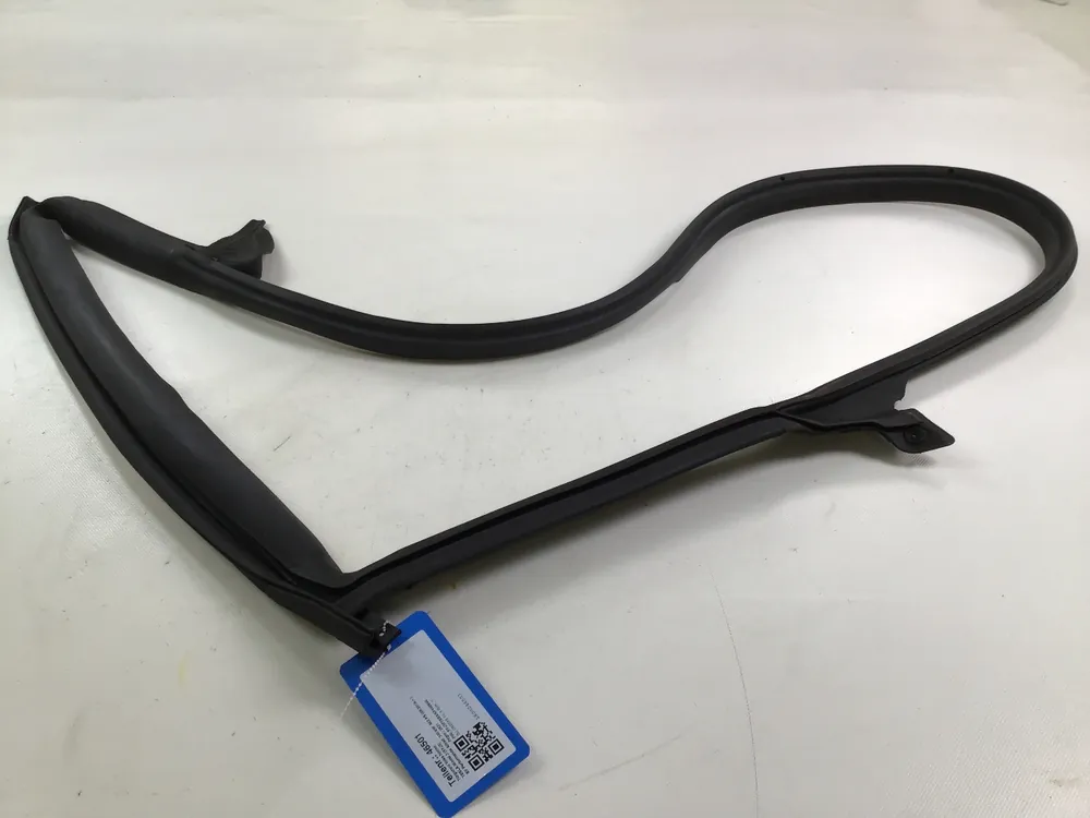 Türgummi links hinten TESLA Model 3 (5YJ3) EV Performance Allrad 340 kW 462 PS (06.2018-> ) Sonderangebot